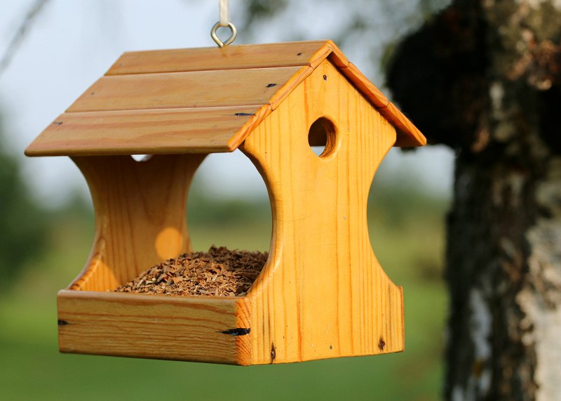 How to Keep Squirrels Away From Your Backyard Feeders How to Keep Squirrels Away From Your Backyard Feeders