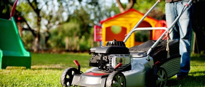 Lawn Know-How: Top 5 Lawn Diseases and How to Eliminate Them Early in the Season
