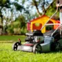 Featured of How to Treat Lawn Disease Early in the Season