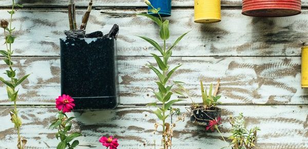 Ideas to Transform Small Garden Spaces