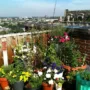 Featured of A Small Garden Design Respects Your Time and Space