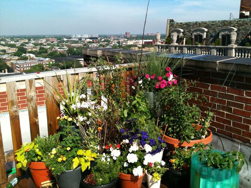 Balcony, Container Garden Balcony, Container Garden
