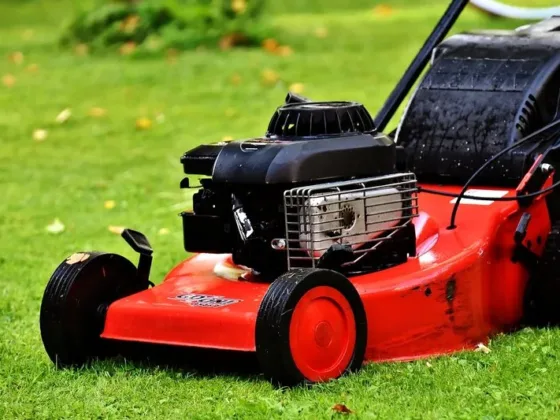 Featured of Lawn Mowers - Which Type Is Best for You and Your Yard