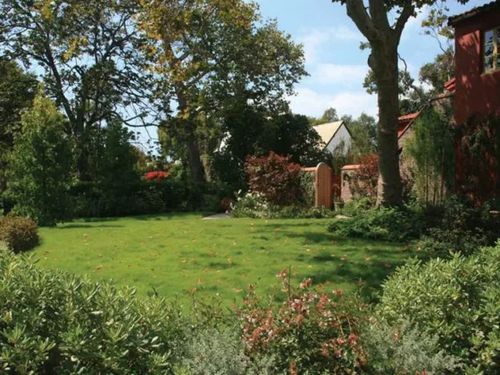 Featured of Tree Management Tips for Homeowners with Large Yards