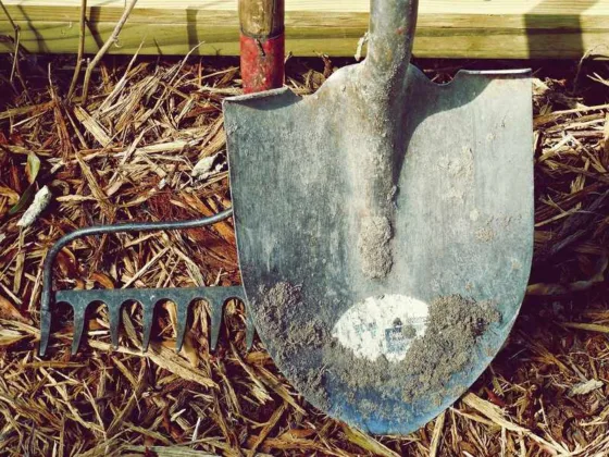 Featured of How to Take Care of Your Hand Garden Tools