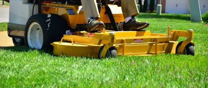 Why You Should Hire a Lawn Care Service With Your Neighbors