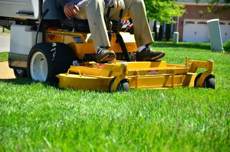 Featured of Why You Should Hire a Lawn Care Service With Your Neighbors