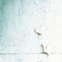Featured of How to Fix Chipped Paint and Flaked Paint Surfaces