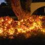 Featured of How to Decorate for Christmas on a Budget