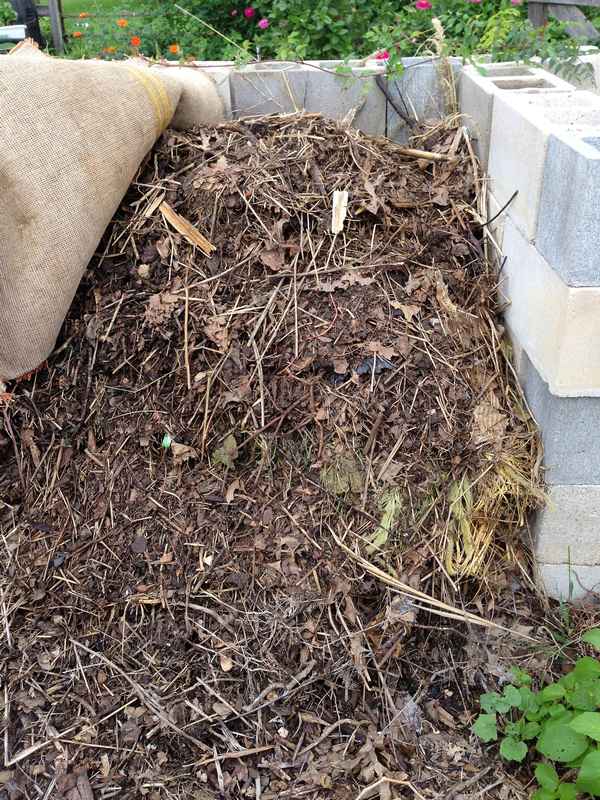 How to Compost and Build a Compost Heap