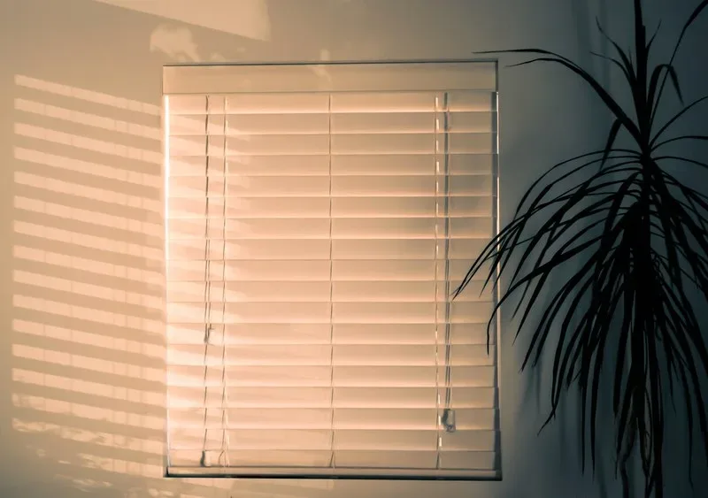 Featured of All About Eco-Friendly Windows, Awnings, Blinds and Shades