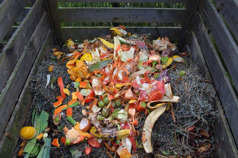 How to Compost and Build a Compost Heap