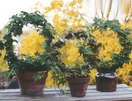 Featured of 20 Ways to Recycle Wire Clothes Hangers