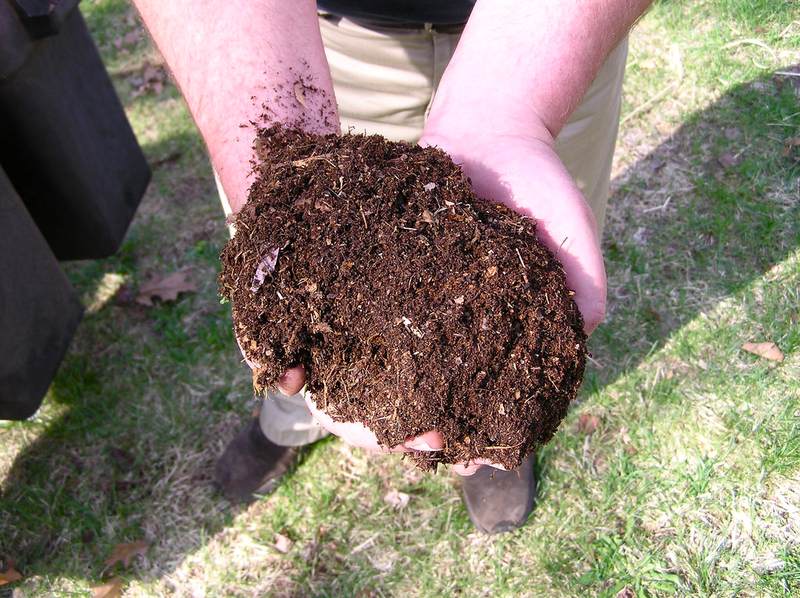 The Many Merits of Mulching The Many Merits of Mulching