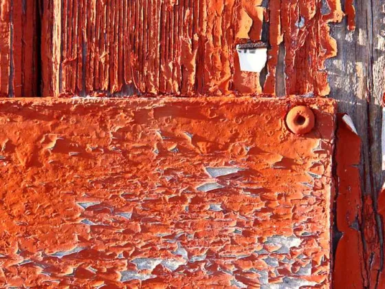 Featured of How to Fix Peeling Paint and Flaking Paint