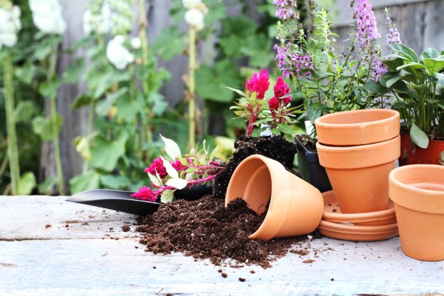 Taking the Guesswork out of Gardening Supplies