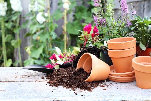 Taking the Guesswork out of Gardening Supplies Taking the Guesswork out of Gardening Supplies