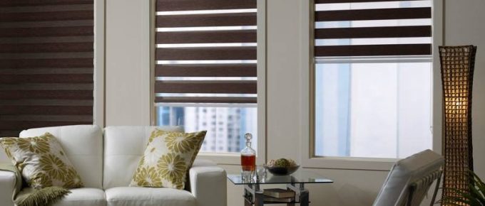 Reasons to Opt-in for Zebra Roller Shades for Your House