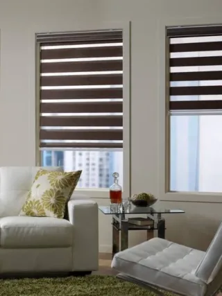 Featured of Zebra Roller Shades