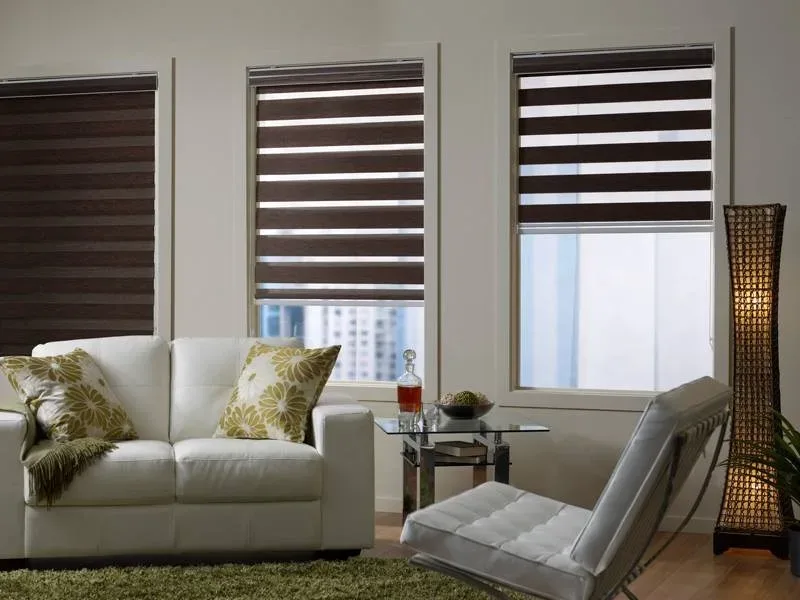 Featured of Zebra Roller Shades