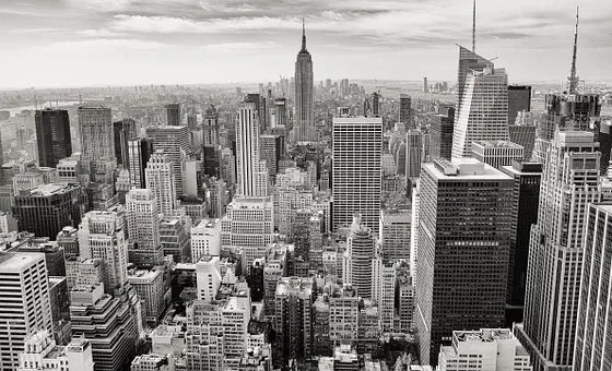 Featured of Top 6 Qualities That You Should Look for in a Basement Expansion Building Company