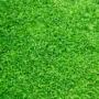Featured of Fake Lawns