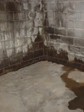 Featured of How Do I Fix Damp or Wet Corners in My Basement