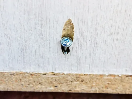 Featured of Pocket Hole Joinery Basics for Woodworking