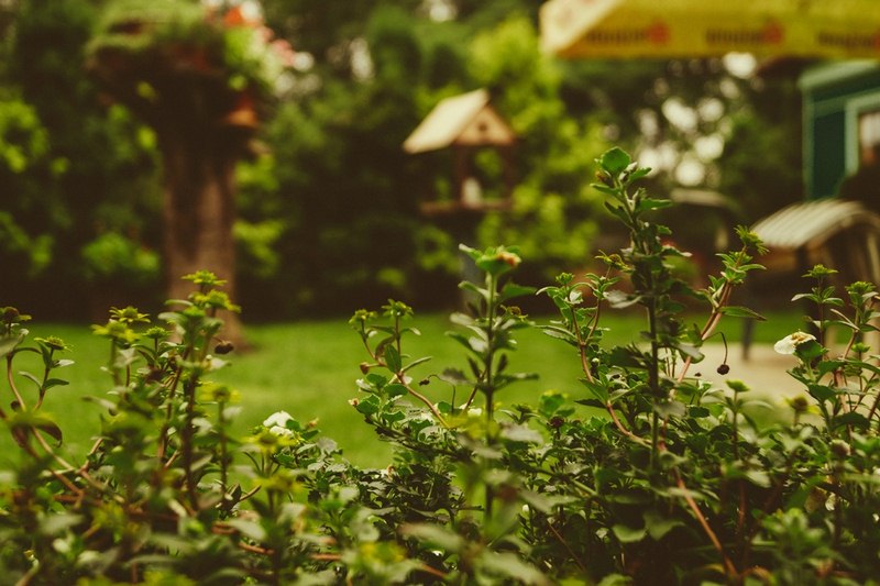 Picturesque Sceneries Picturesque Sceneries