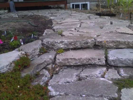 Step by Step Guide to Make Your Own Paving Stones