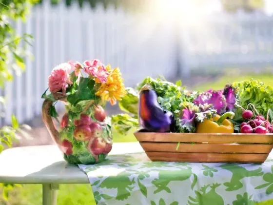 Featured of Garden Vegetables That Need a Lot of Water