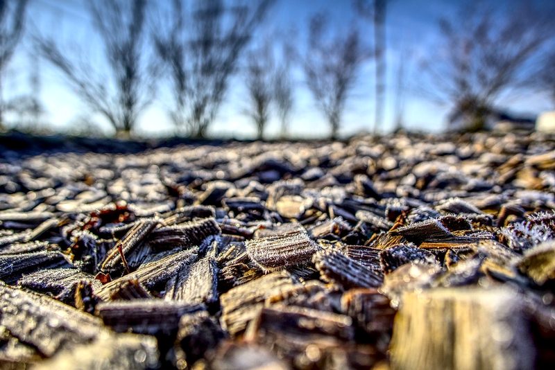 Mulch Mulch