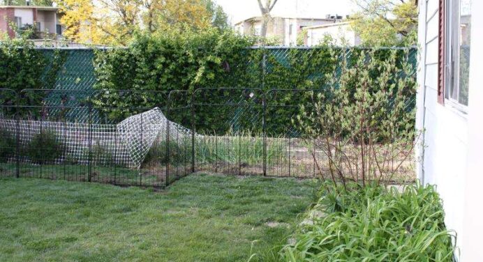 6 Top Benefits of Garden Fencing for Protecting and Beautifying Your Homes