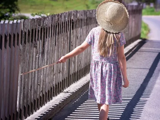 Featured of Installing a Fence around the Property Reasons to Consider