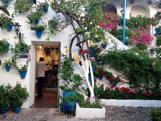 Featured of Get the Most From Small Patios by Infusing Creative Ideas to Decorate It