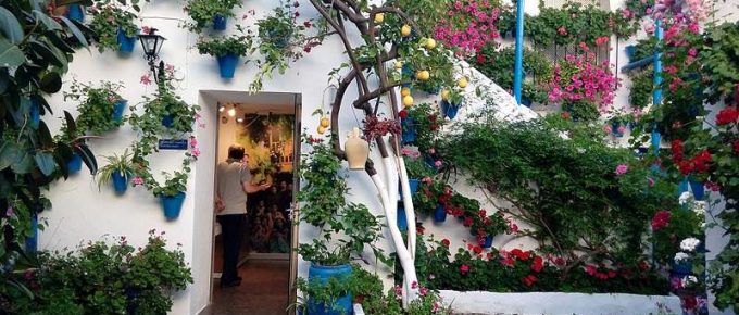 Get the Most From Small Patios by Infusing Creative Ideas to Decorate It