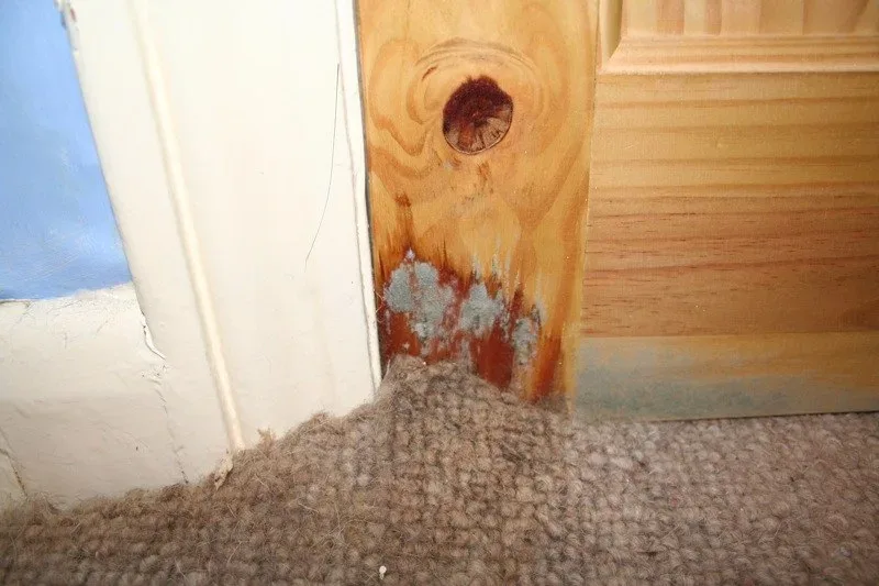 Featured of Water Damage