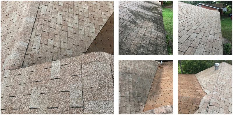 A Complete Homeowner's Guide to Cleaning Your Roof to a Professional Standard Guide to Cleaning Your Roof to a Professional Standard