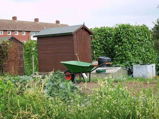 Featured of Apex Sheds are Ideal for Meeting All Your Needs for Garden Sheds