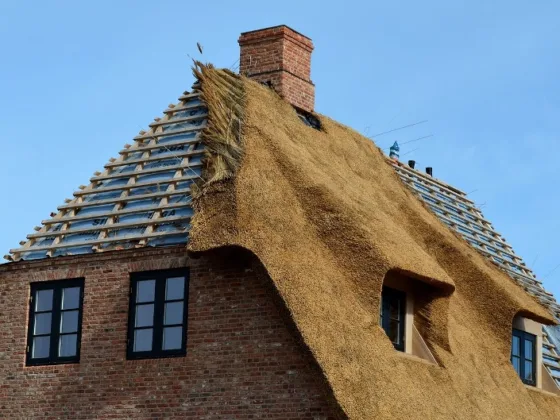 Featured of Roof Maintenance Does a Lot of Good for Homeowners and Is Suitable For the Environment Too