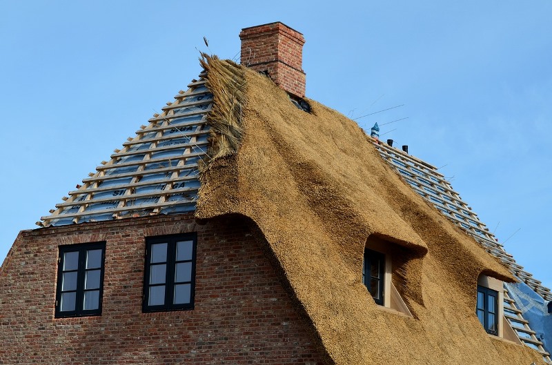 Roof Maintenance Does a Lot of Good for Homeowners and Is Suitable For the Environment Too Roof Maintenance Does a Lot of Good for Homeowners and Is Suitable For the Environment Too