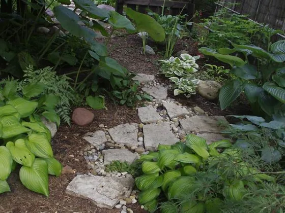 Featured of How to Create Your Own Yellow Brick Road in the Garden