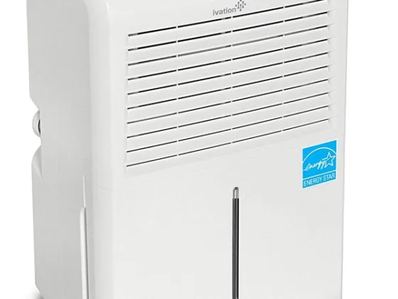 Featured image - 7 Tips for Choosing the Best Dehumidifier for Your Home