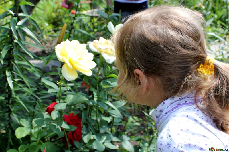 Children Learn About Wildlife in the Garden image - Children Learn About Wildlife in the Garden