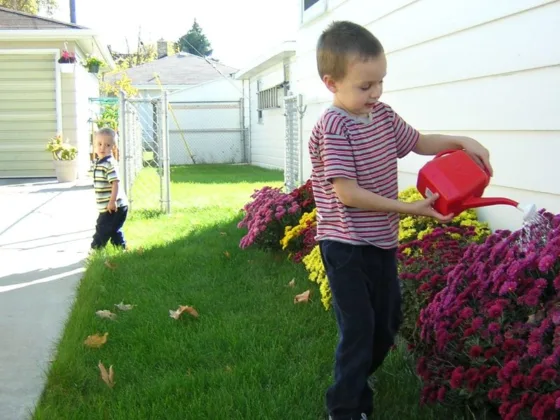 Featured image - Turn Your Patio into a Vegetable Garden Plants
