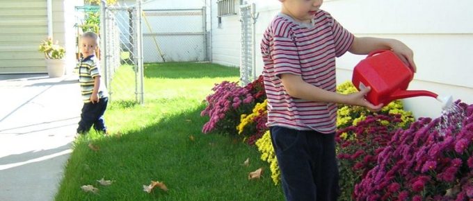 Turn Your Patio into a Vegetable Garden Plants