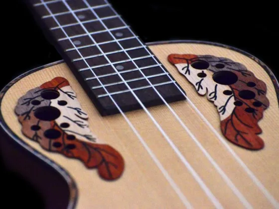 Featured image - Ukulele Tutorials Learn Step-by-step From the Scratch