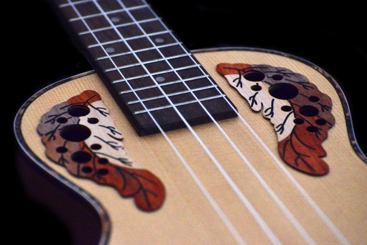 Ukulele Tutorials Learn Step-by-step From the Scratch image - Ukulele Tutorials Learn Step-by-step From the Scratch