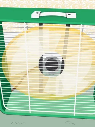 Featured image - Amazing Benefits of Box Fans