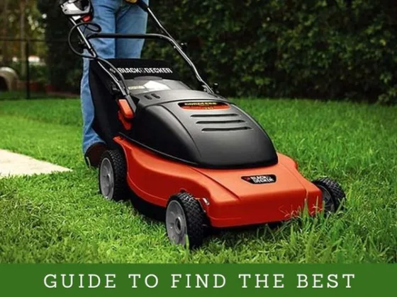 Featured image - Guide to Find the Best Lawn Mower for Organic Lawn Care